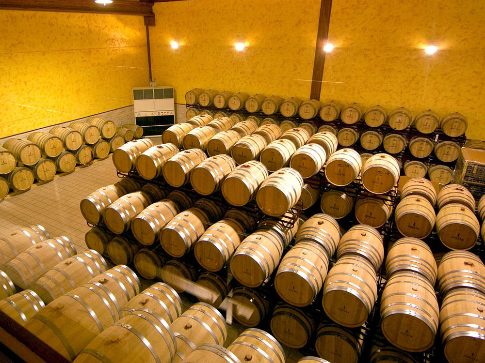 wine cellar iniesta