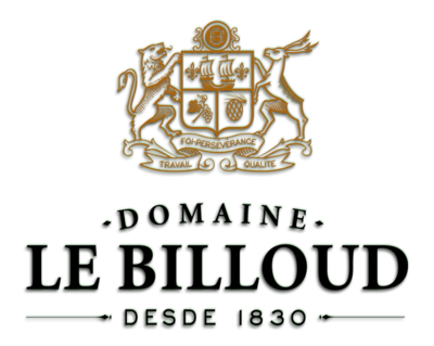 BODEGA-DOMAINE-LE-BILLOUD-LOGO.png